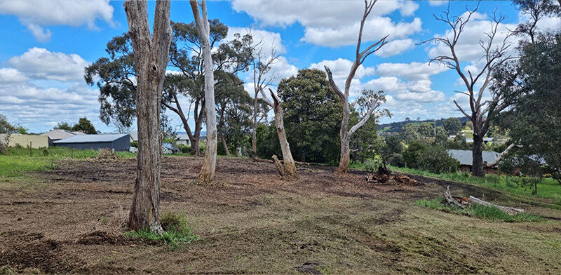 Gorse Mulching After - EME Contracting