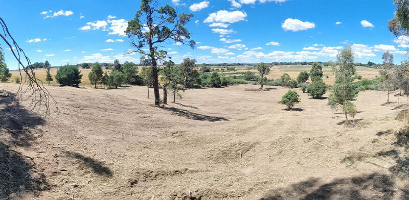 Gorse Mulching After - EME Contracting