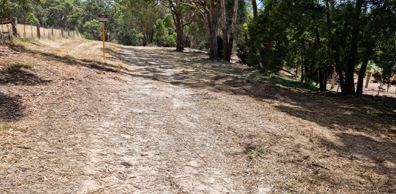 Gorse Mulching After - EME Contracting