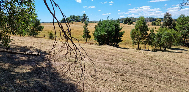 Gorse Mulching After - EME Contracting