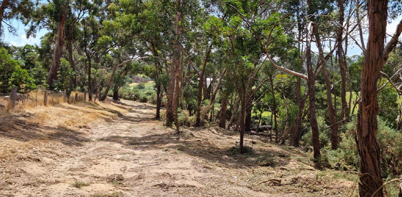 Gorse Mulching After - EME Contracting