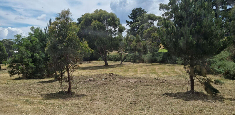 Gorse Mulching After - EME Contracting