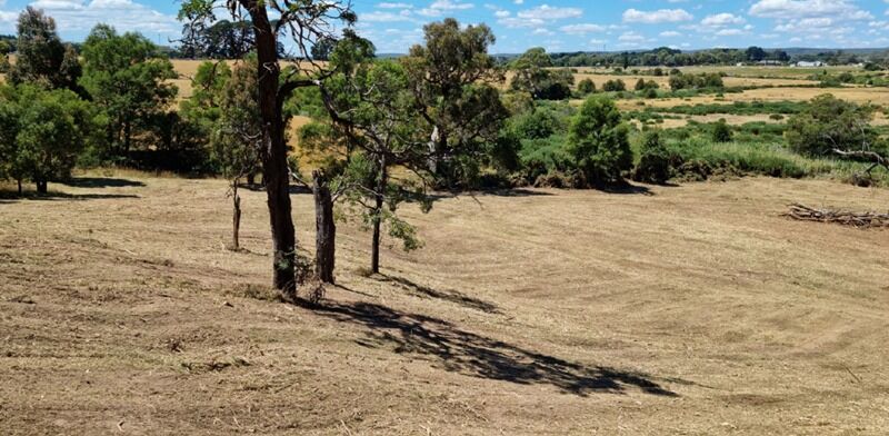 Gorse Mulching After - EME Contracting