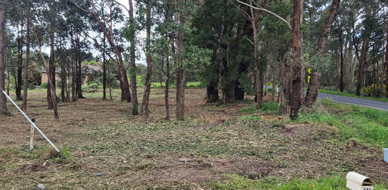 Fence Line Removal and Mulch After - EME 