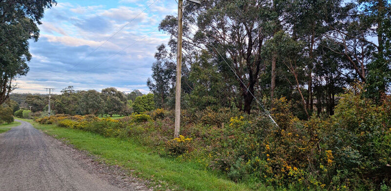 Fence Line Removal and Mulch Before - EME