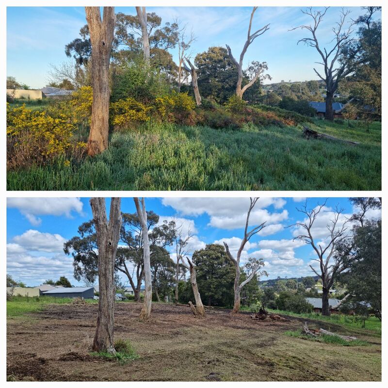 Gorse Mulching Before and After - EME