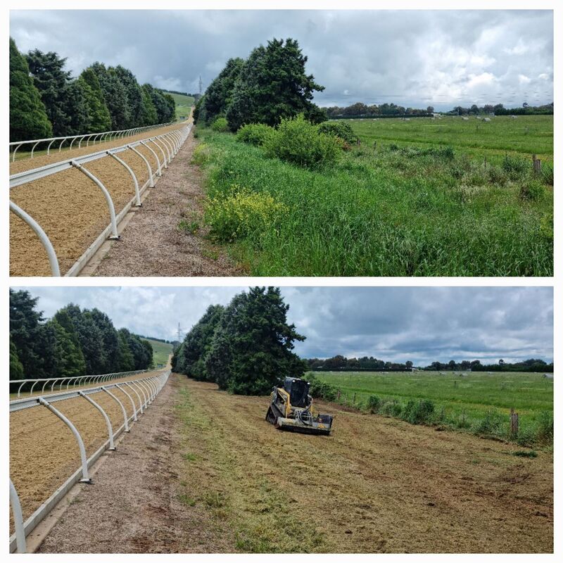 Vegetation Management Before and After - EME