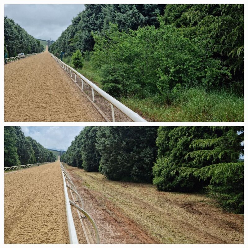 Vegetation Management Before and After - EME